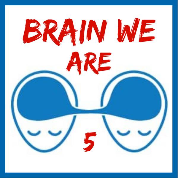 Brain We Are CZ